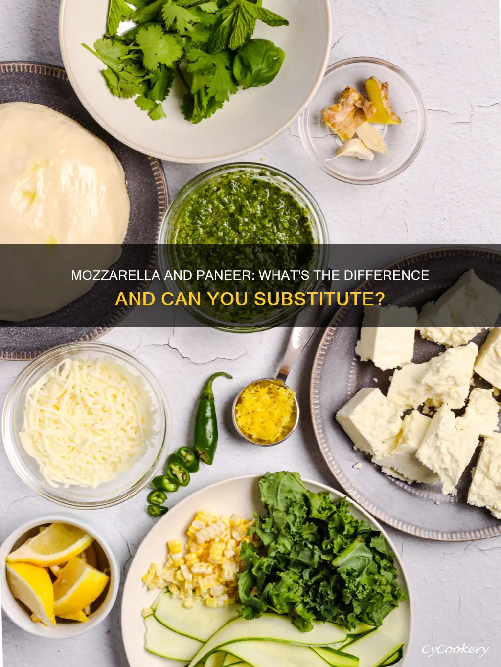 can you substitute mozzarella for paneer cheese