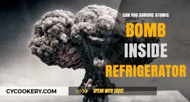 Surviving an Atomic Bomb: The Refrigerator Myth Debunked