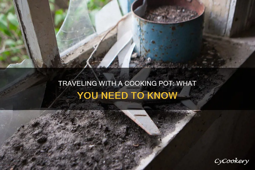 can you take a cooking pot on a plane