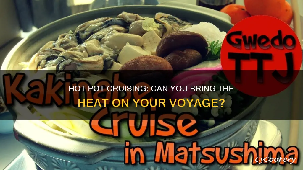 can you take a hot pot on a cruise