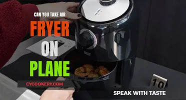 Air Fryer Travel: Can You Take It on a Plane?