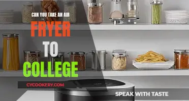 Air Fryer on Campus: What You Need to Know