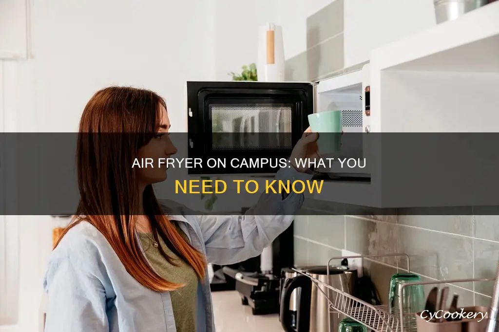 can you take an air fryer to college