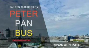 Traveling with Dogs: Peter Pan Bus Pet Policy