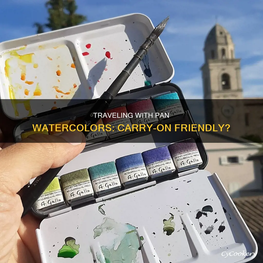can you take pan watercolors in your carry on