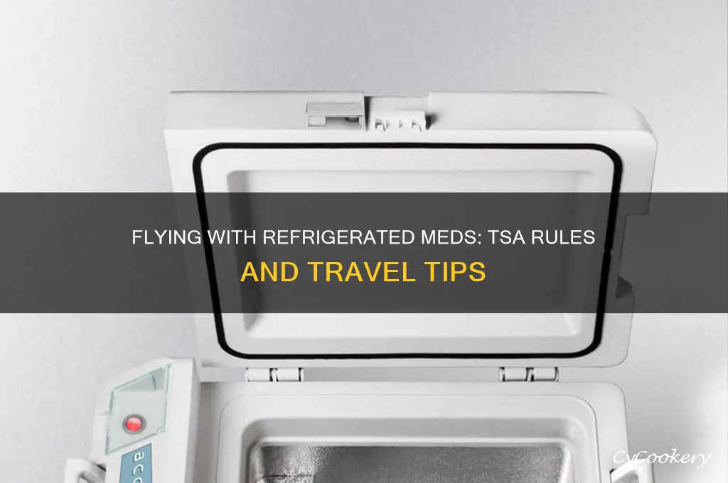 can you take refrigerated medication on a plane