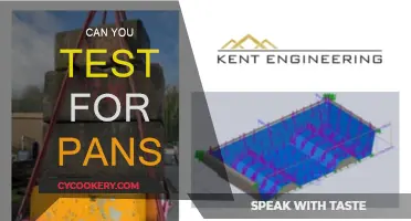 Testing for PANS: What You Need to Know