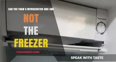 Thawing Your Fridge Side Only: Is It Possible and How?