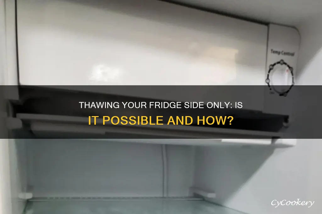 can you thaw a refrigerator side and not the freezer
