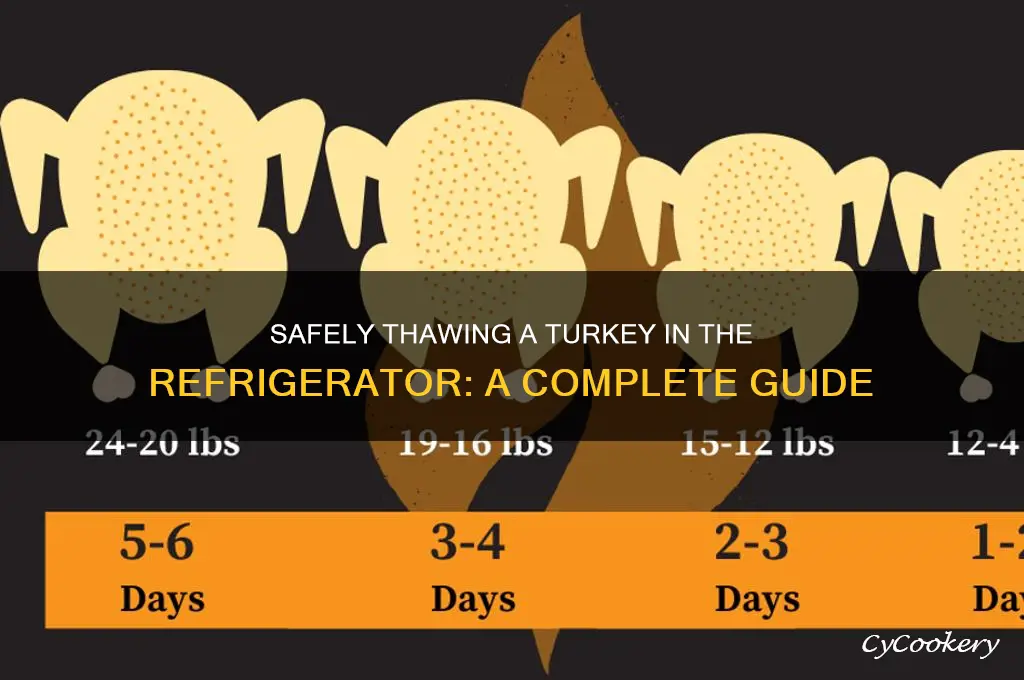 can you thaw a turkey in the refrigerator