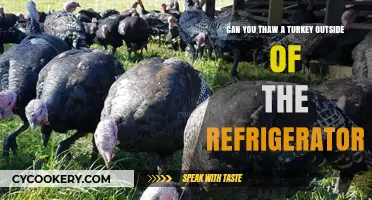 Thawing Turkey Safely: Is Outside the Fridge a Good Idea?
