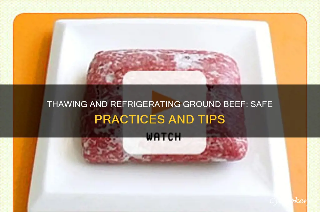 can you thaw and refrigerate ground beef