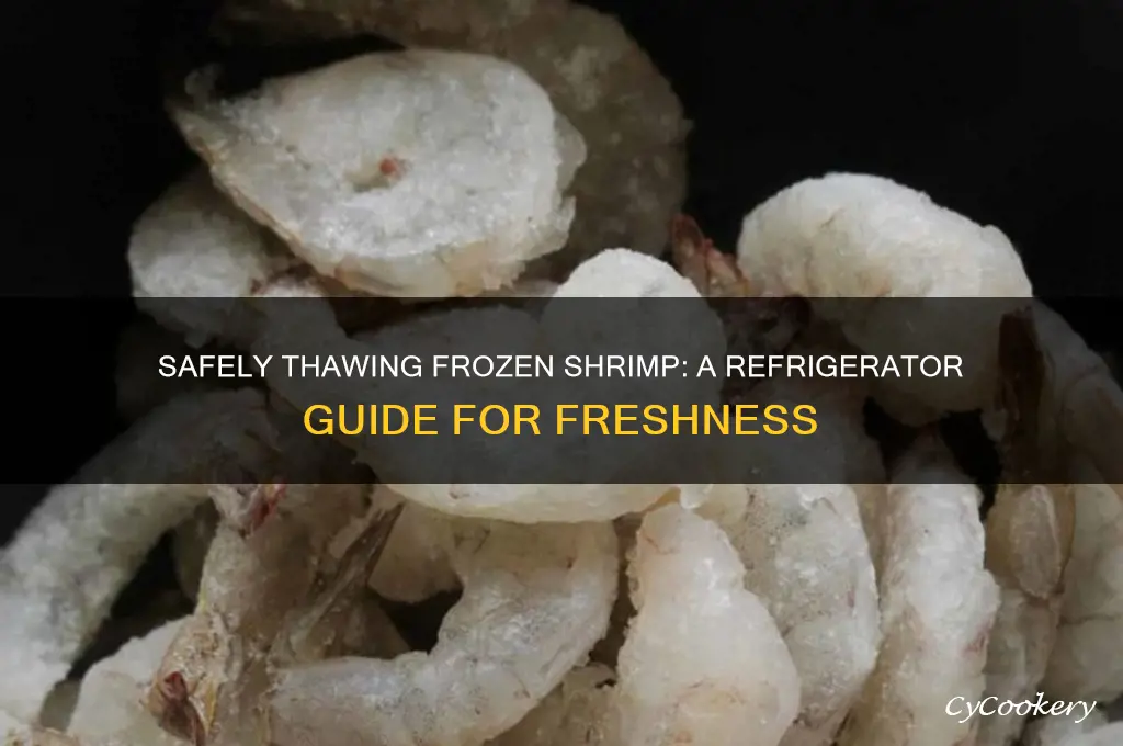 can you thaw frozen shrimp in the refrigerator