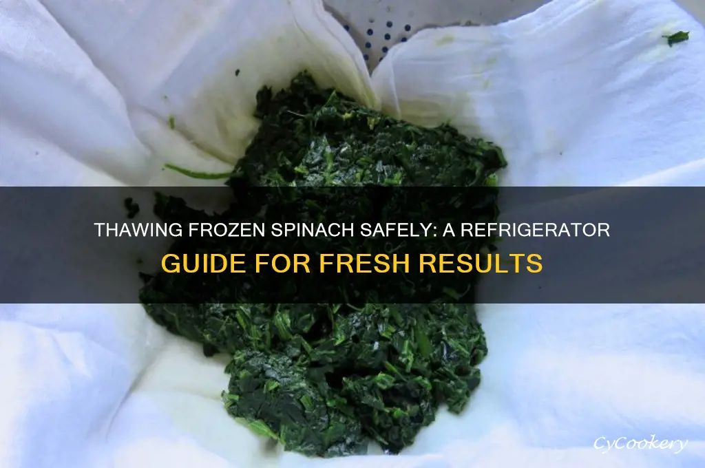 can you thaw frozen spinach in the refrigerator