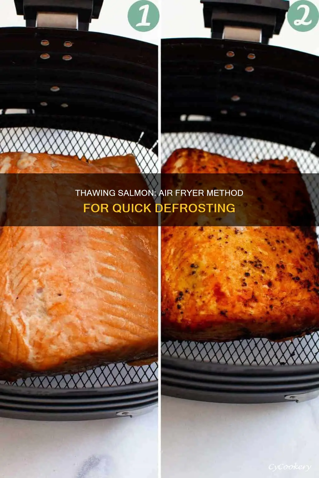 can you thaw salmon in air fryer