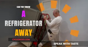 Can You Throw a Refrigerator Away? Eco-Friendly Disposal Tips