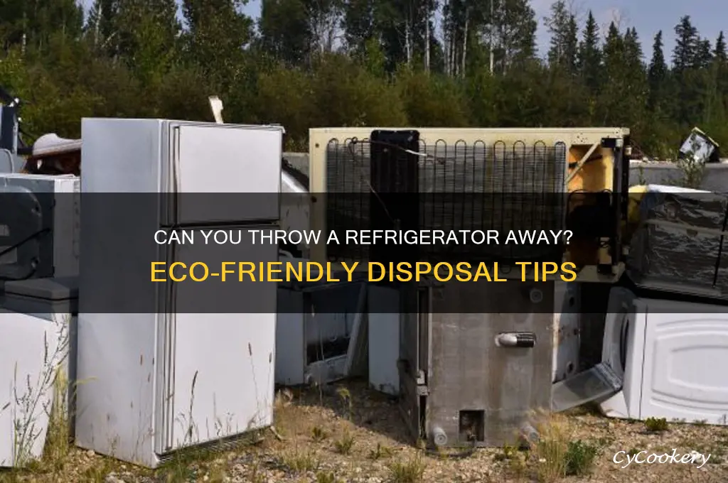 can you throw a refrigerator away