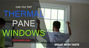 Thermal Pane Windows: Can You Tint Them?