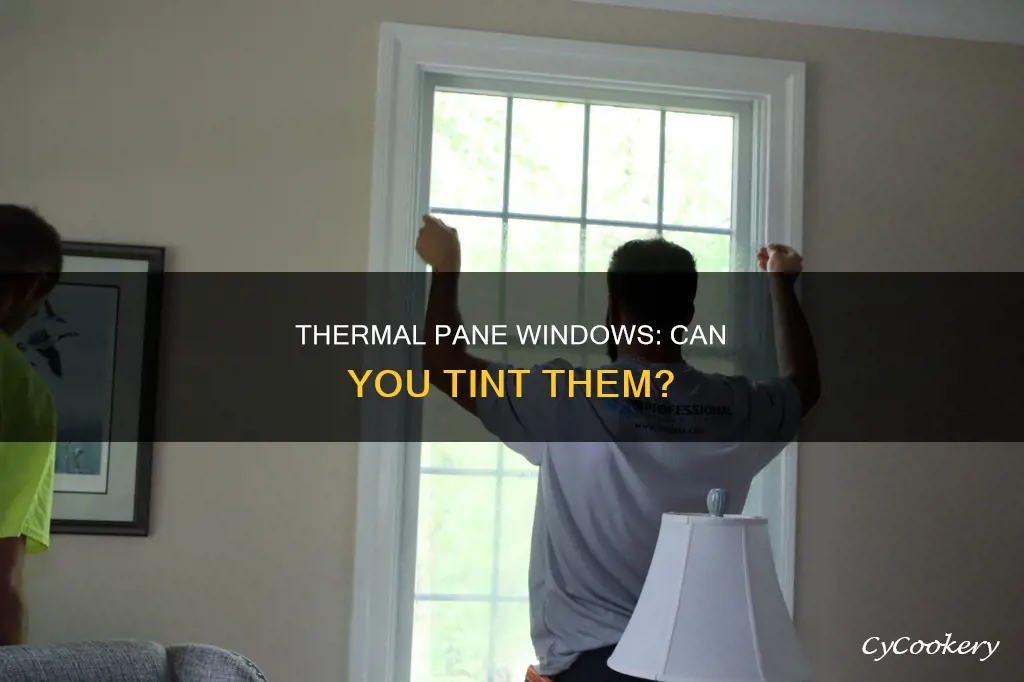 can you tint thermal pane windows