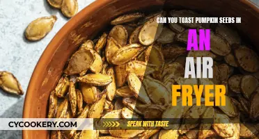 Toasting Pumpkin Seeds: Air Fryer Magic