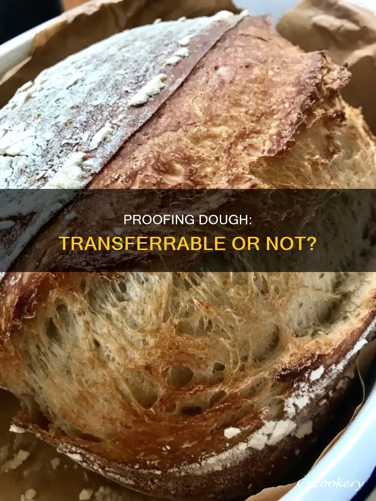 can you transfer proofing dough to other pan