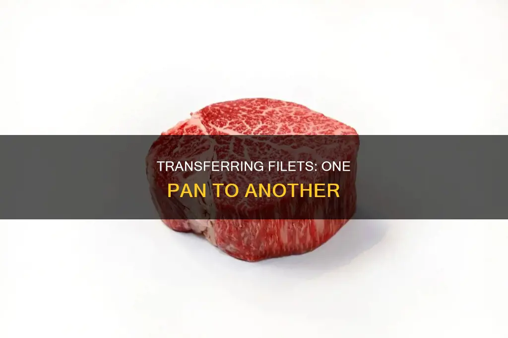 can you transfer your filet from one pan to another