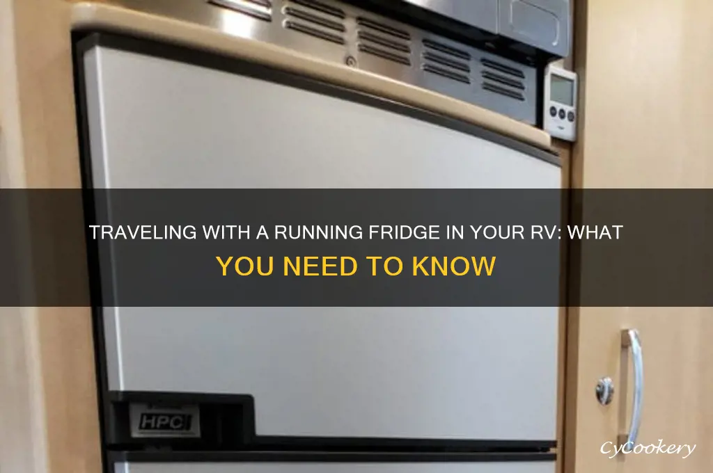 can you travel with refrigerator on in a travel trailer