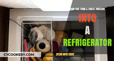 Transforming a Chest Freezer into a Refrigerator: Is It Possible?