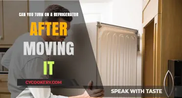Moving Your Fridge? When and How to Safely Restart It