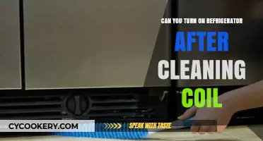 How Soon Can You Turn On Your Refrigerator After Cleaning the Coil?