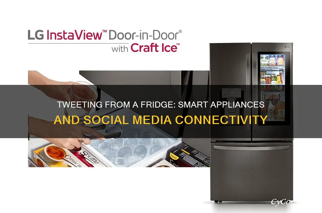can you tweet from a refrigerator