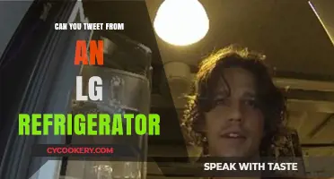 Tweeting from an LG Fridge: Fact or Fiction?