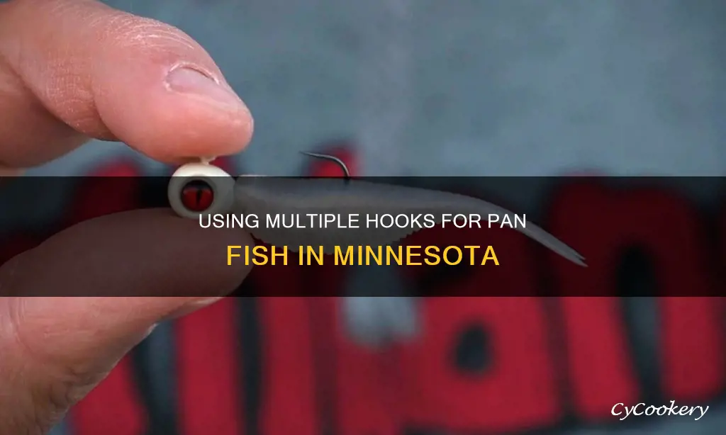 can you use 2 hook for pan fish in minnesota