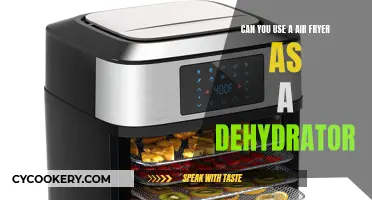 Air Fryer Dehydrator: Is It Possible?