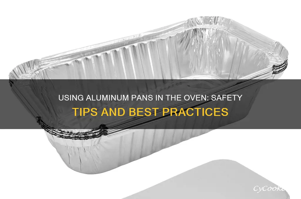 can you use a alumminum pan in the oven