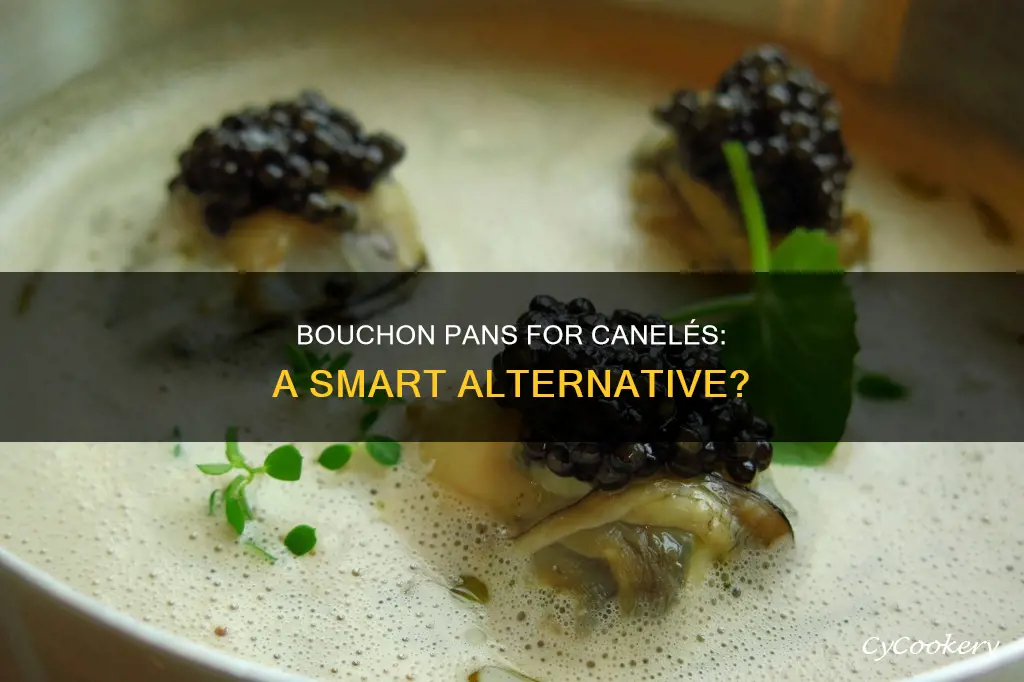 can you use a bouchon pan for caneles
