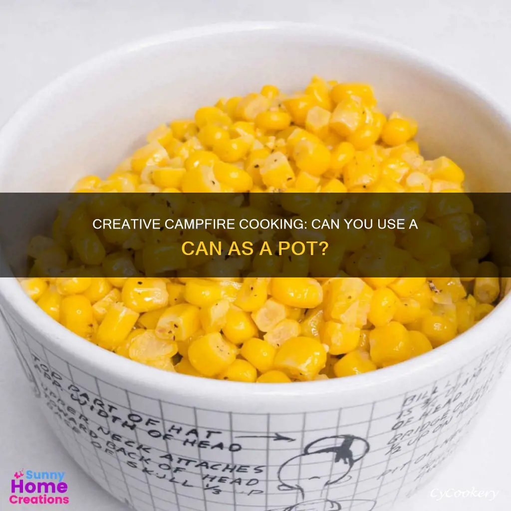can you use a can as a cook pot