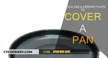 Ceramic Plates: Safe Pan Covers?