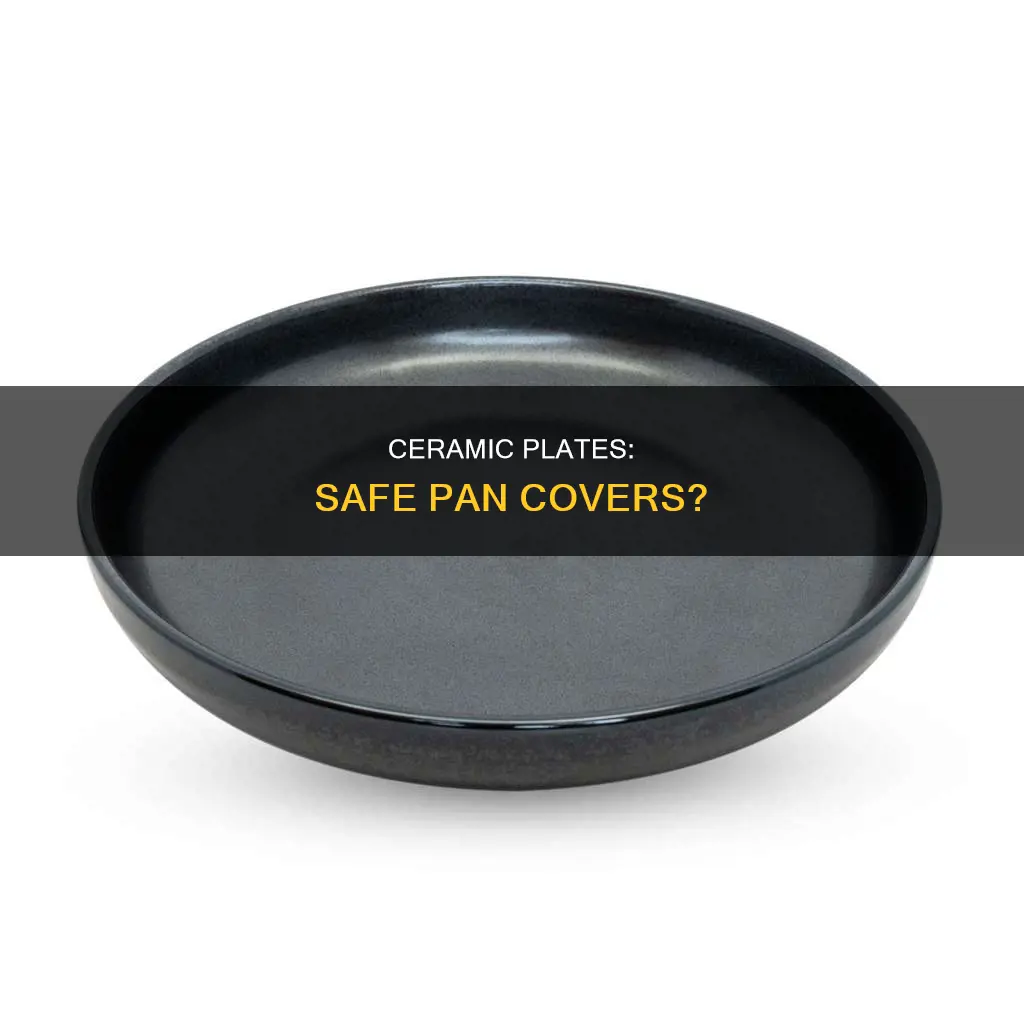 can you use a ceramic plate to cover a pan