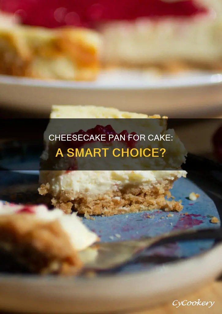 can you use a cheesecake pan for cake