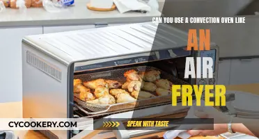 Convection Ovens: The Air Fryer Alternative?