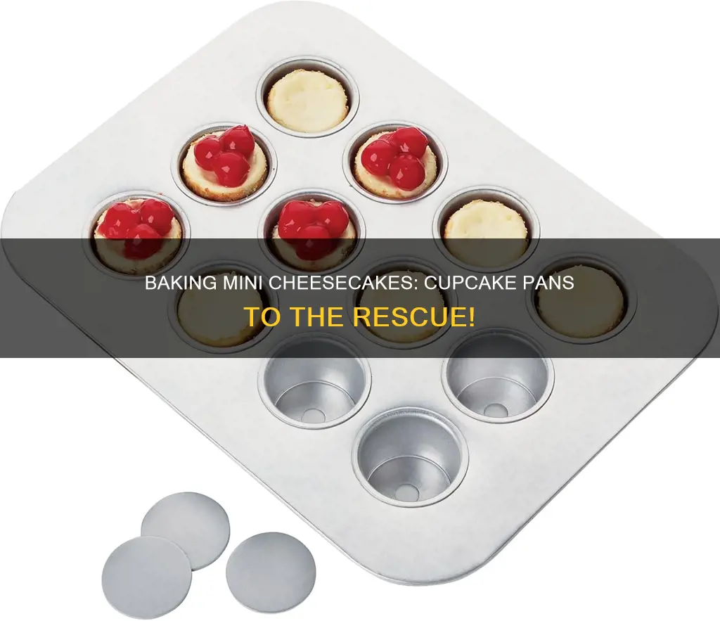 can you use a cupcake pan for mini cheesecakes