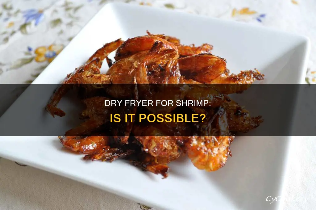 can you use a dry fryer to fry shrimp