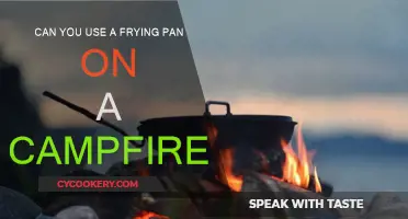 Campfire Cooking: Frying Pan Pros and Cons