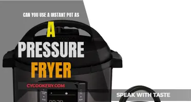 Instant Pot as a Pressure Fryer: Is It Possible?