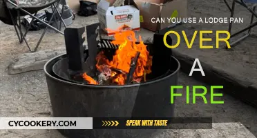 Campfire Cooking: Lodge Pan Over Fire