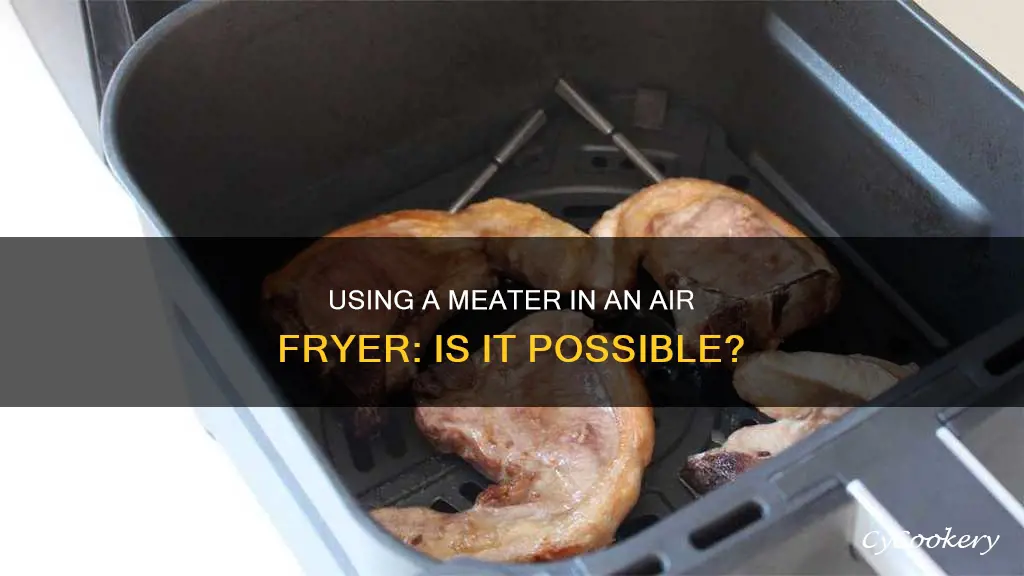 can you use a meater in an air fryer