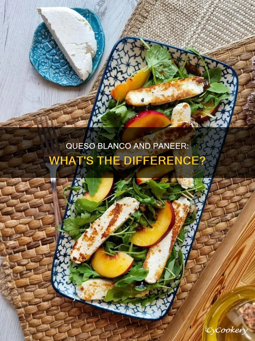 can you use a mexican queso blanco to replace paneer