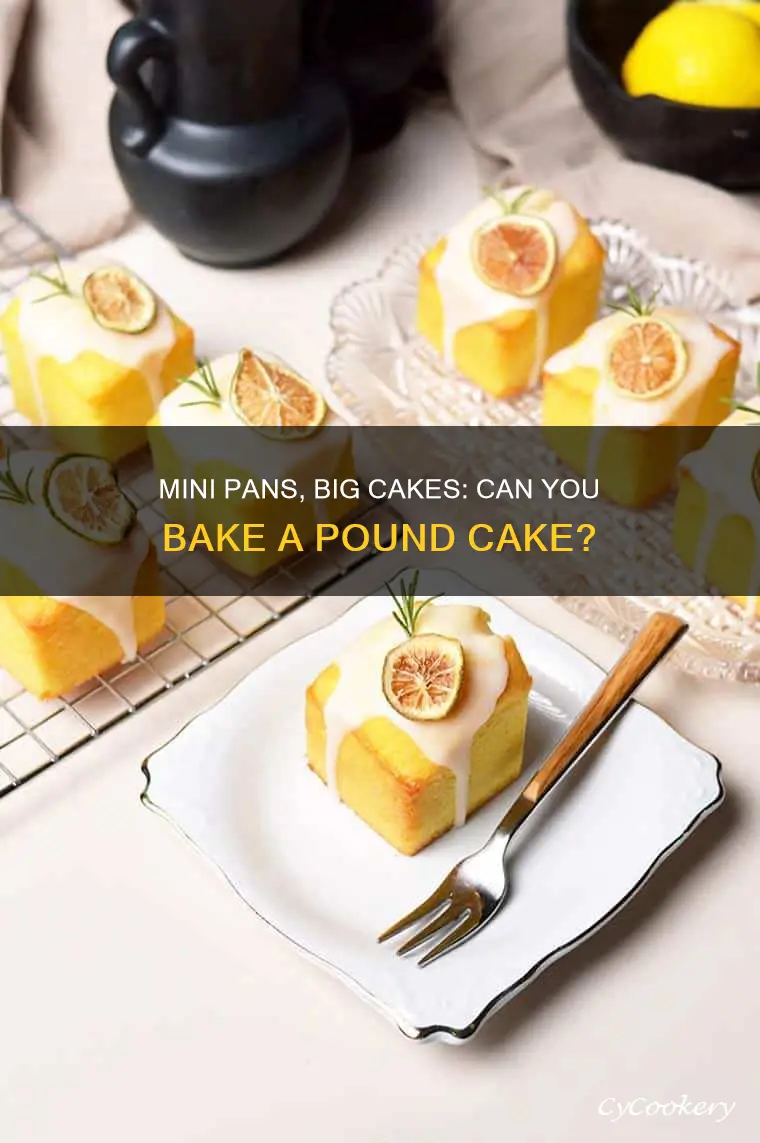 can you use a mini pan for pound cake