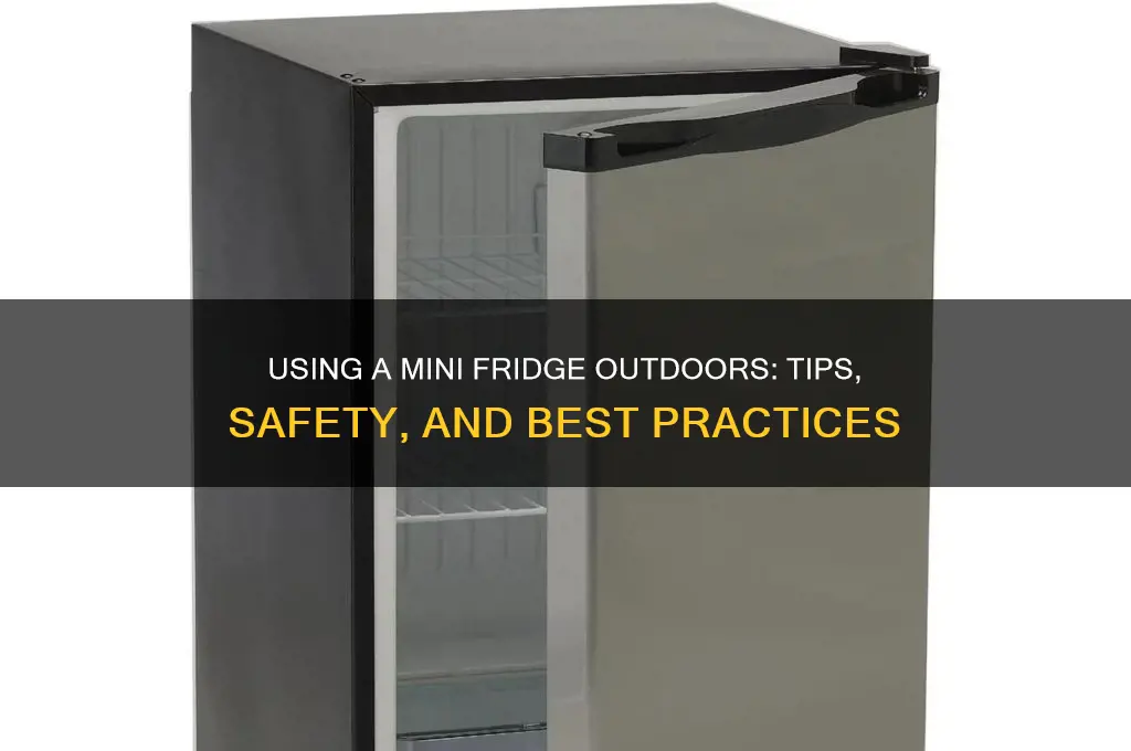 can you use a mini refrigerator outdoors